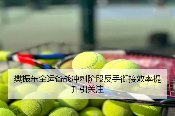 樊振东全运备战冲刺阶段反手衔接效率提升引关注